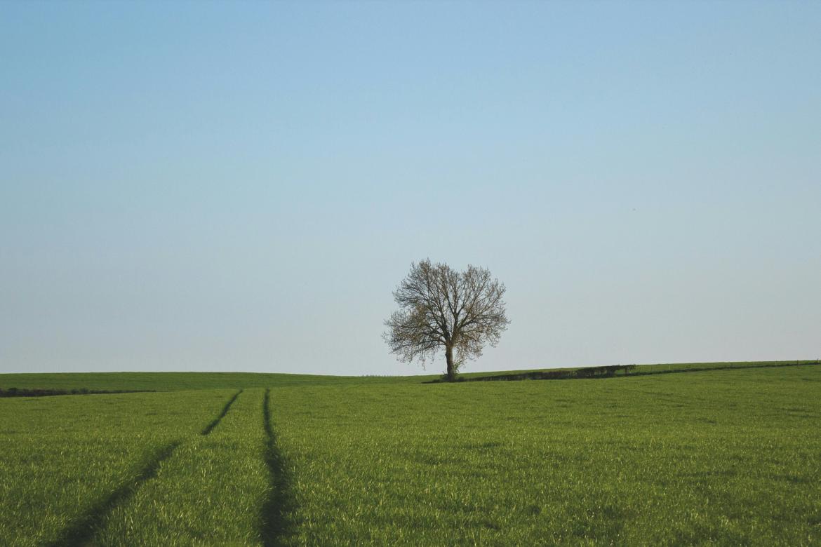 Visiter les alentours