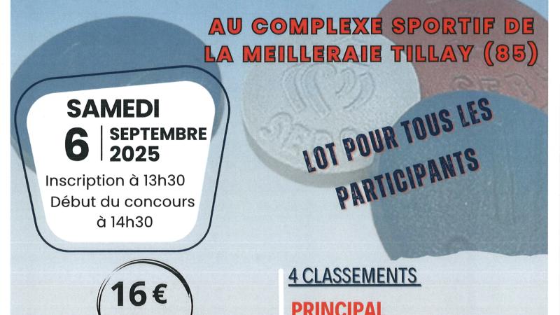 Concours Palet Fonte sur Plomb